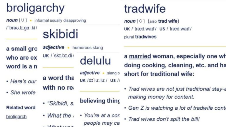 Cambridge Dictionary adds ‘skibidi’ and ‘tradwife’ among 6,000 new words