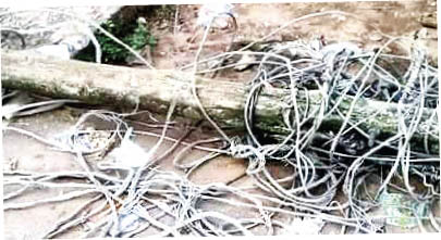 High-Tension Wire Electrocutes Point of Sale Operator in Anambra, Nigeria, Raising Safety Concerns