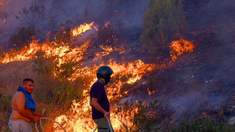 Deadly Wildfires Force Mass Evacuations Across Southern Europe Amid Record Heatwave