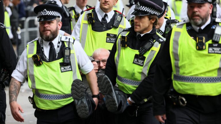 Nearly 500 arrested in London as pro-Palestine protest goes ahead despite pleas