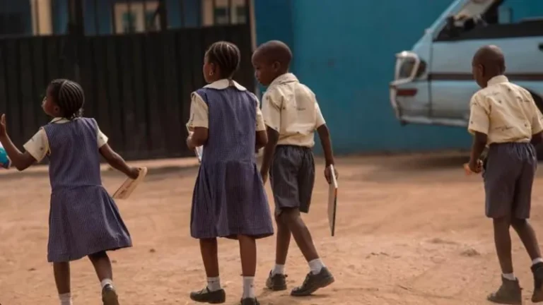Nigeria cancels mother-tongue teaching in primary schools, reverts to English