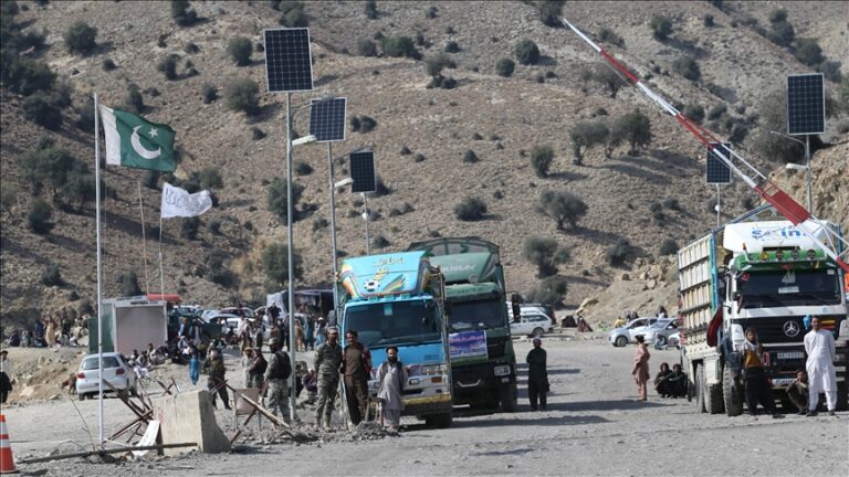 Pakistani Administrator Slain Alongside Three Others in Militant Ambush Near Afghan Border
