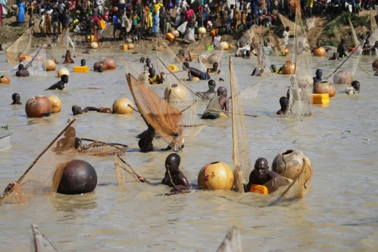 Argungu Fishing Festival Returns in Northwest Nigeria, Reviving Unity and Local Economy Amid Security Strains