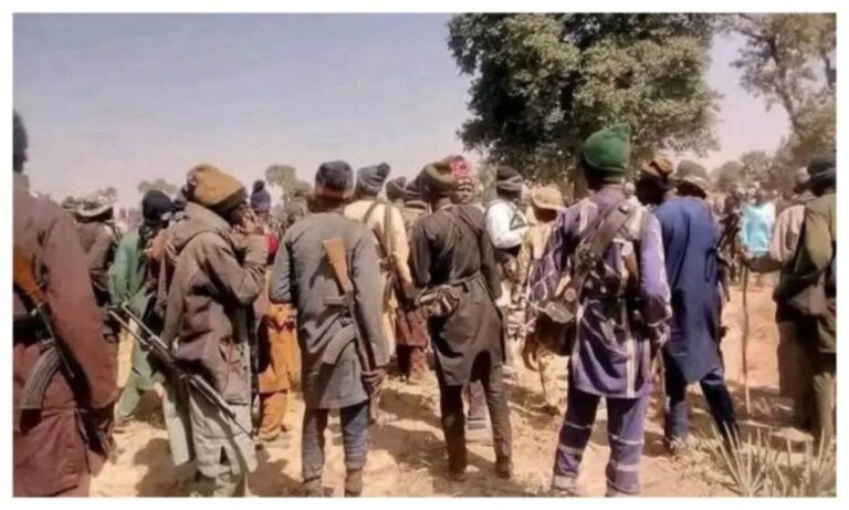 Bandits Abduct 14 Bus Passengers, Kill Two in Fresh Benue Night Attack, Nigeria