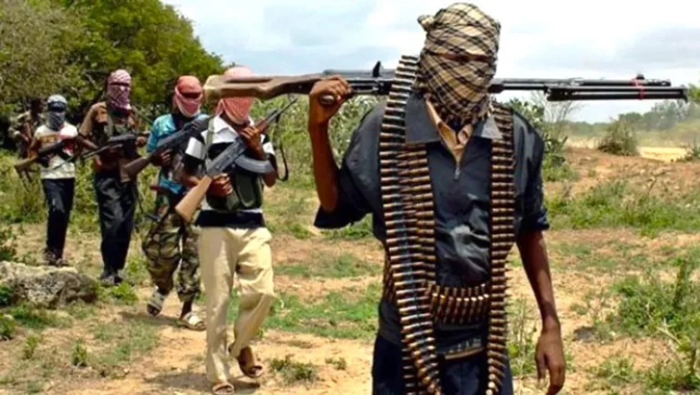  Bandit Attacks Kill 30 in Katsina and Kwara, Nigeria, Shattering Months of Fragile Calm