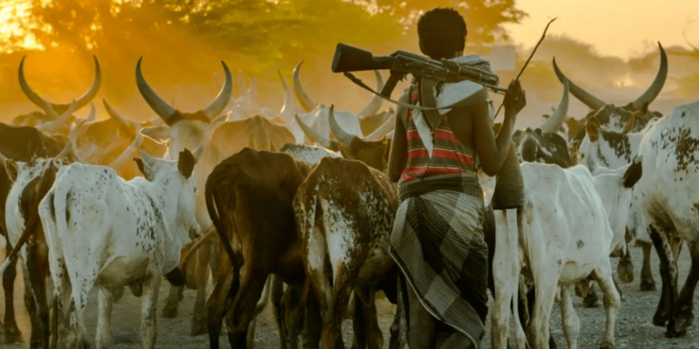 Herders Kill 3 in Kogi Village as Army Guns Down Terrorists in Katsina Ambush