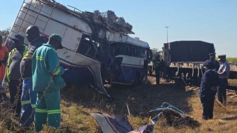 Zimbabwe Train and Bus Collision Kills 9 Including Children, Dozens Injured